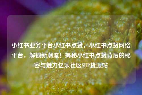 小红书业务平台小红书点赞，小红书点赞网络平台，解锁新潮流！揭秘小红书点赞背后的秘密与魅力亿乐社区SUP货源站  第1张