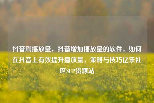 抖音刷播放量	，抖音增加播放量的软件，如何在抖音上有效提升播放量，策略与技巧亿乐社区SUP货源站  第1张