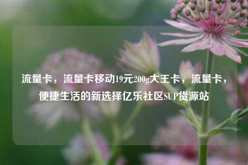 流量卡，流量卡移动19元200g大王卡，流量卡	，便捷生活的新选择亿乐社区SUP货源站  第1张