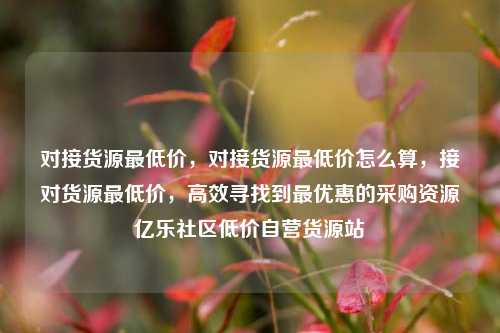 对接货源最低价	，对接货源最低价怎么算，接对货源最低价，高效寻找到最优惠的采购资源亿乐社区低价自营货源站  第1张