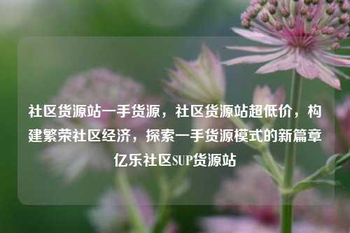 社区货源站一手货源，社区货源站超低价，构建繁荣社区经济	，探索一手货源模式的新篇章亿乐社区SUP货源站  第1张