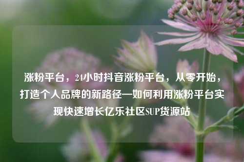 涨粉平台，24小时抖音涨粉平台	，从零开始，打造个人品牌的新路径—如何利用涨粉平台实现快速增长亿乐社区SUP货源站  第1张