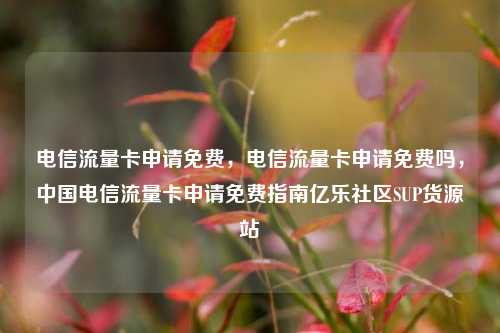 电信流量卡申请免费	，电信流量卡申请免费吗，中国电信流量卡申请免费指南亿乐社区SUP货源站  第1张