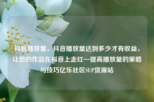 抖音播放量，抖音播放量达到多少才有收益	，让您的作品在抖音上走红—提高播放量的策略与技巧亿乐社区SUP货源站  第1张