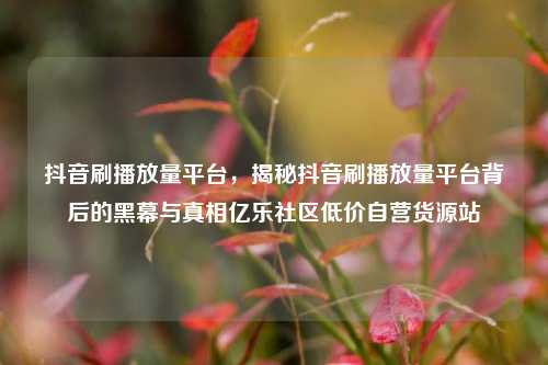 抖音刷播放量平台，揭秘抖音刷播放量平台背后的黑幕与真相亿乐社区低价自营货源站  第1张