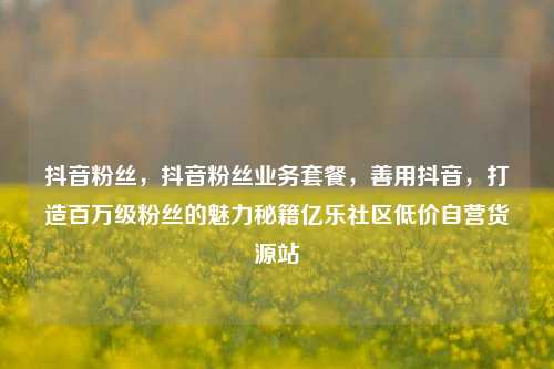 抖音粉丝	，抖音粉丝业务套餐，善用抖音，打造百万级粉丝的魅力秘籍亿乐社区低价自营货源站  第1张